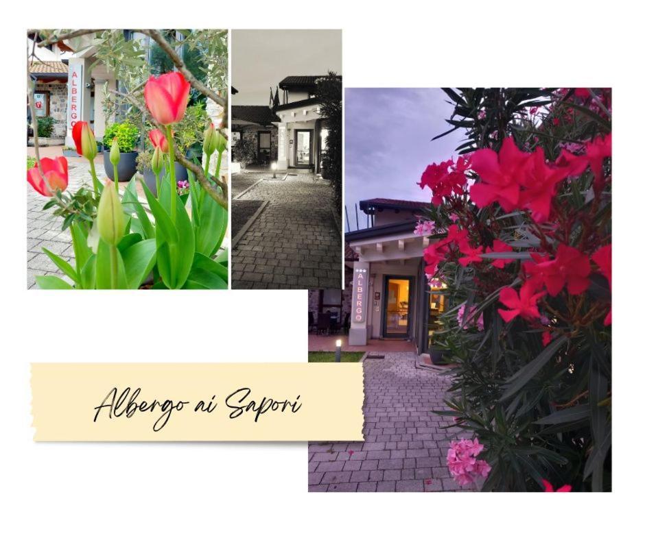Albergo Ai Sapori San Daniele del Friuli Dış mekan fotoğraf